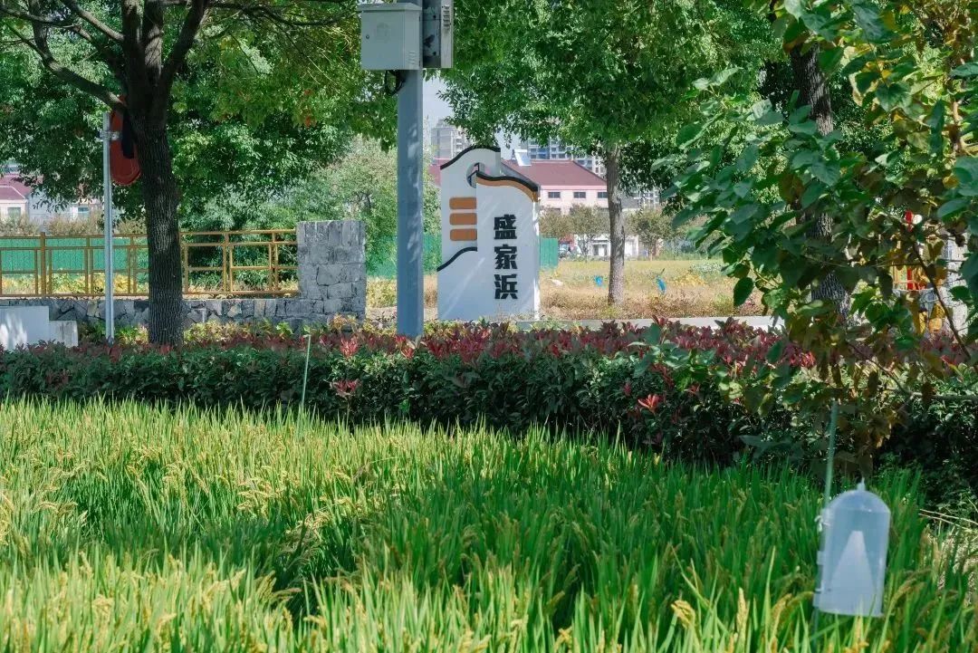 南宫集团(中国区)有限公司官网